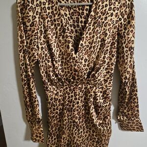 Zara Animal Print Long Sleeve Dress